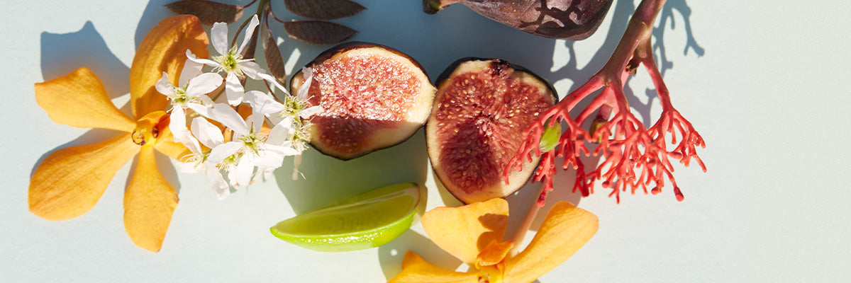 Lime, orange flowers, red plant, white flowers, on white background.