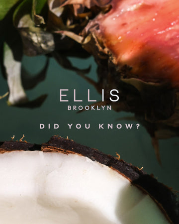 Closeup of half of a coconut and a slice of pink pineapple on a gray surface with white text that reads 'Ellis Brooklyn' and 'Did you know?'