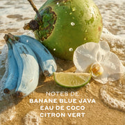 Une noix de coco verte, une grappe de bananes bleues, une fleur blanche et une tranche de citron vert sont posées sur l'eau de l'océan et le sable avec des gouttes d'eau dans l'air et un texte blanc qui lit « Notes de banane blue java, eau de coco, citron vert »