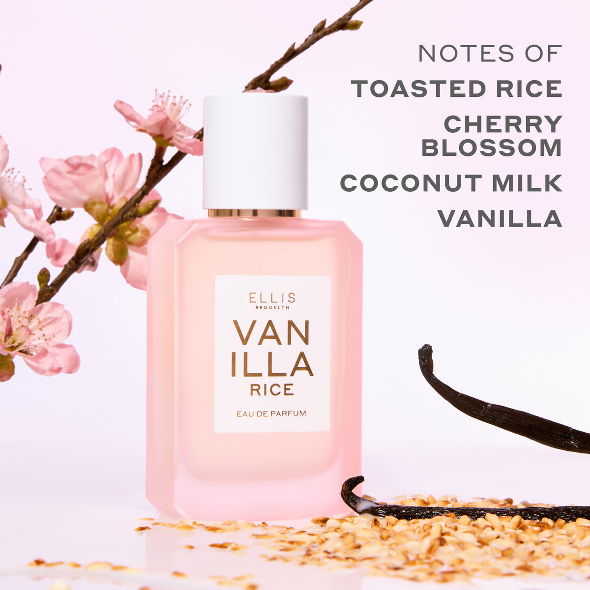 صورة Ellis Brooklyn الرسمية لمكونات Vanilla Rice