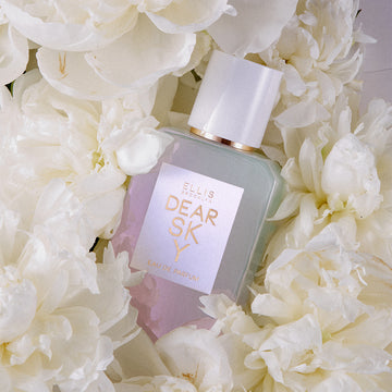 IMAGE 3: DEAR SKY SCENT NOTES