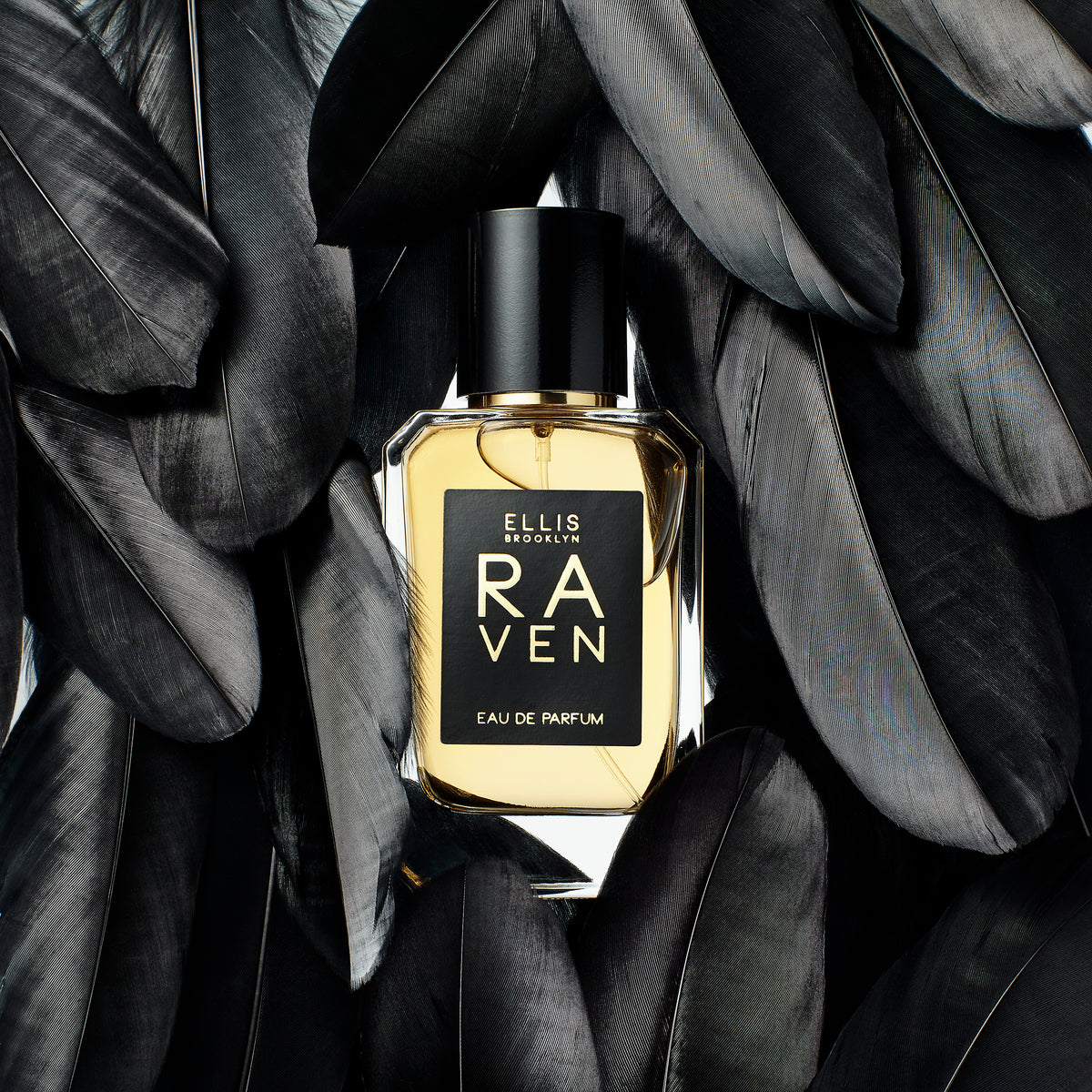RAVEN in feathers