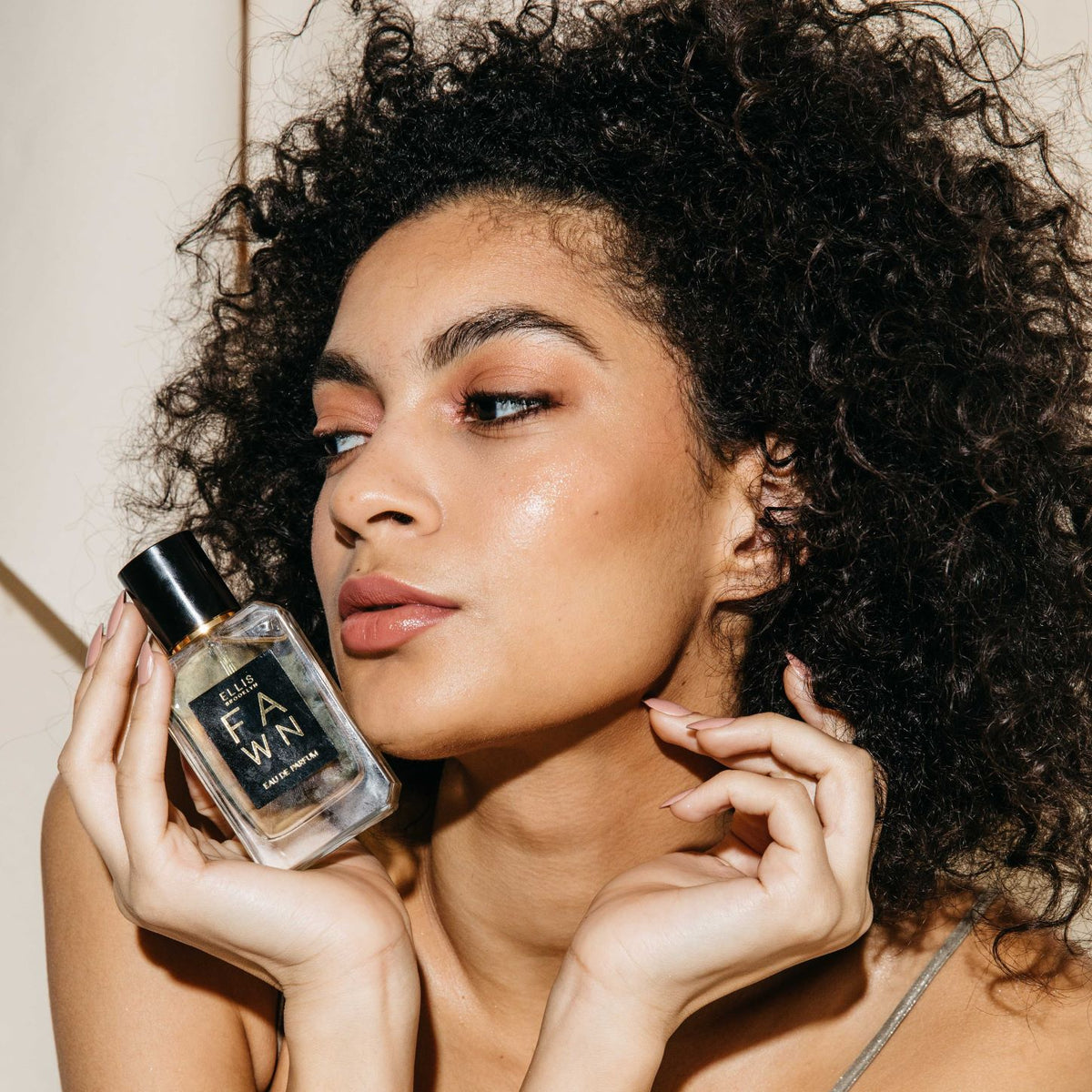 Model holding FABLE